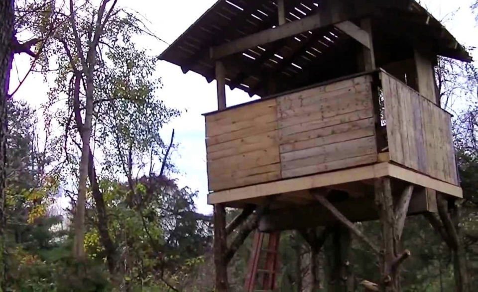 10 DIY Wooden Pallet Treehouse: Ideas, Designs & Building 19 Making a Pallet Tree House