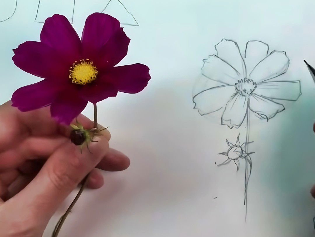 Learn How to Draw: Step-by-Step Guide for Beginners 6 learn to draw step 5 focus contrast details