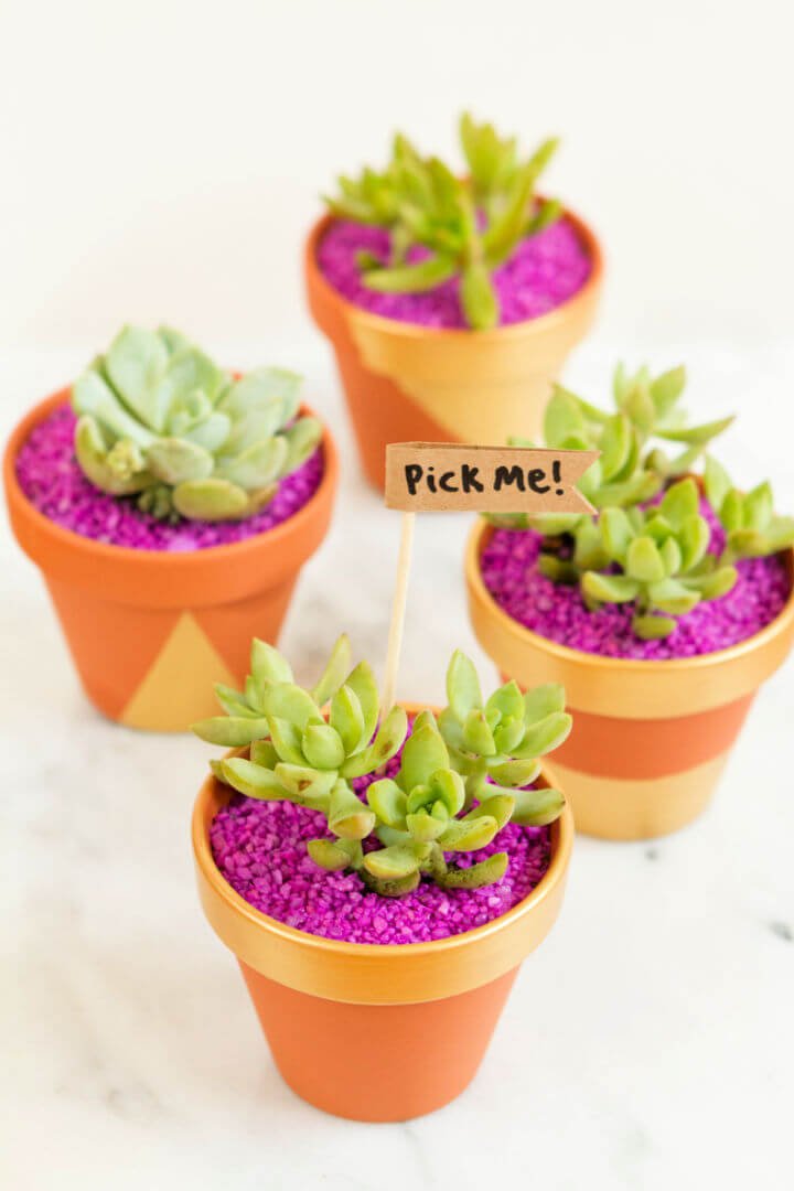 80 DIY Wedding Ideas for Decorations, Apparel & Food 49 How to Make Mini Planter Party Favors