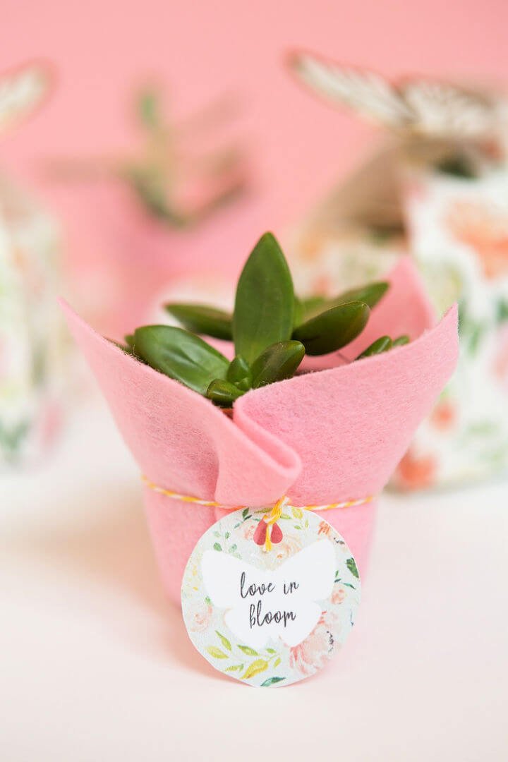 80 DIY Wedding Ideas for Decorations, Apparel & Food 26 Make Succulent Wedding Favors With Kate Aspen